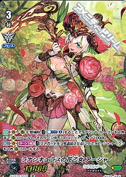 ラナンキュラスの花乙女アーシャ SCR,SP