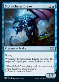 画像1: 【英語】嵐追いのドレイク/Stormchaser Drake (1)