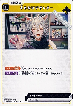 画像1: 【C】小さなビデオレター (1)