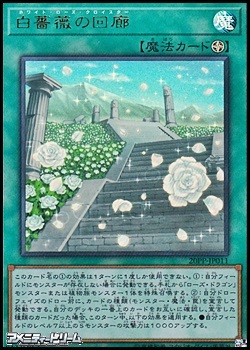 画像1: 【ウルトラレア】白薔薇の回廊 (1)