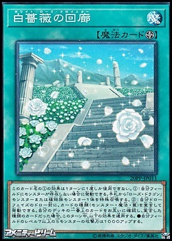 画像1: 【ノーマル】白薔薇の回廊 (1)