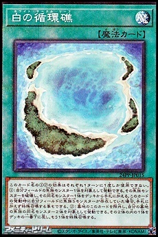 画像1: 【パラレル】白の循環礁 (1)