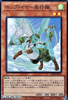 画像1: 【スーパーレア】ホップ・イヤー飛行隊 (1)