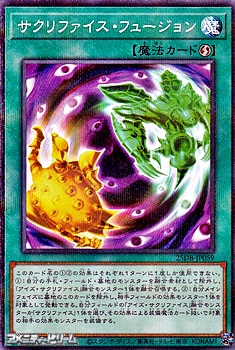 画像1: 【パラレル】サクリファイス・フュージョン (1)