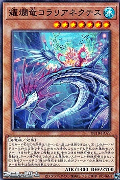 画像1: 【ノーマル】耀爛竜コラリアネクテス (1)