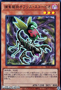 画像1: 【ウルトラレア】捕食植物オフリス・スコーピオ (1)