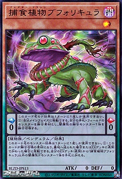 画像1: 【ウルトラレア】捕食植物ブフォリキュラ (1)