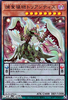 画像1: 【ウルトラレア】捕食植物トリアンティス (1)