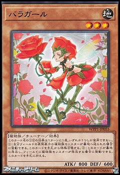 画像1: 【レア】バラガール (1)