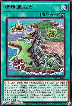 画像1: 【ウルトラレア】環境適応力 (1)