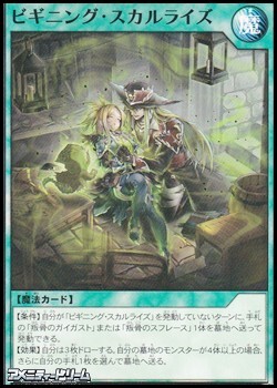 画像1: 【ノーマル】ビギニング・スカルライズ (1)