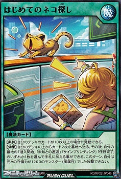 画像1: 【レア】はじめてのネコ探し (1)